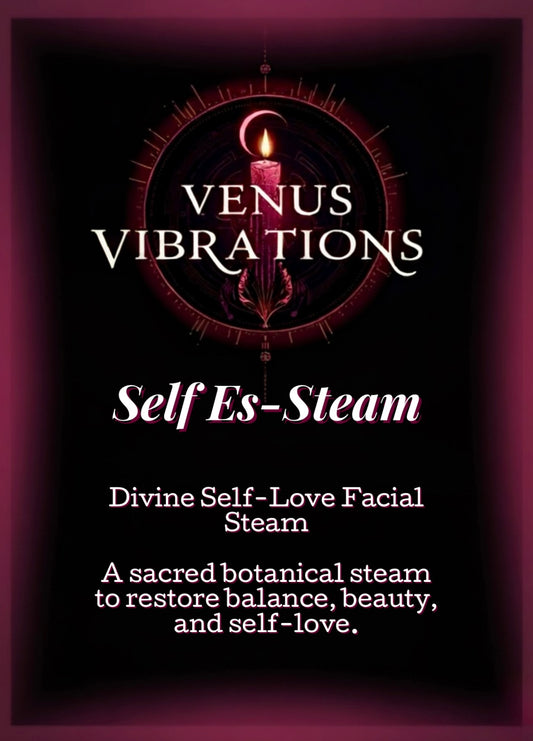 Self Es-Steam Facial Steam